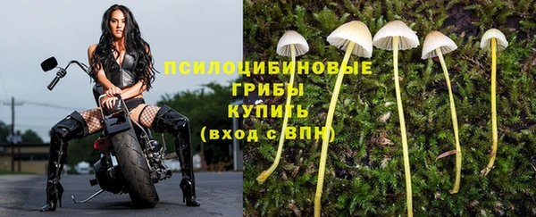 спайс Козловка