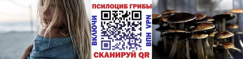 Купить где  Волчанск  Галлюциногенные грибы Magic Shrooms 